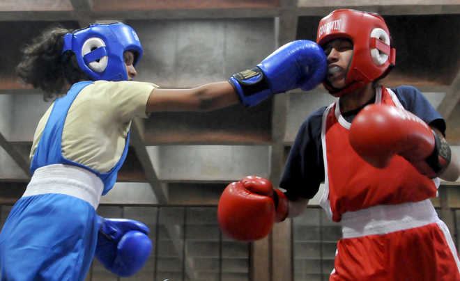 Boxers Krish, Sapna triumph
