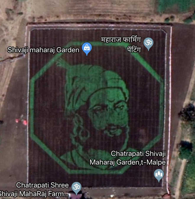 Maharashtra village pays tribute to Chhatrapati Shivaji with incredible crop art