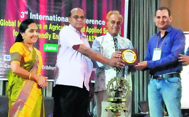 Prof gets Young Scientist Award