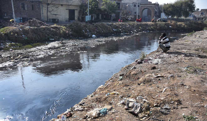 Punjab effluents polluting rivers: Rajasthan MP