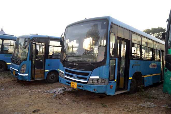Hundreds of buses gather dust, govt wants more
