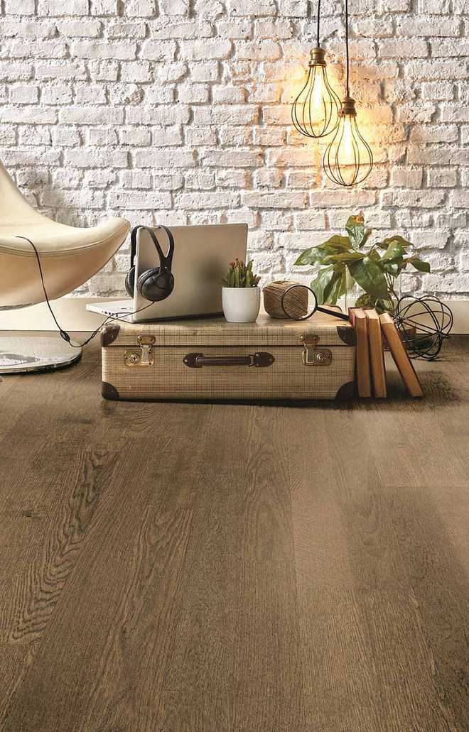 The feel of wood : The Tribune India
