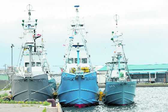 Japanese fleet readies to resume commercial whaling