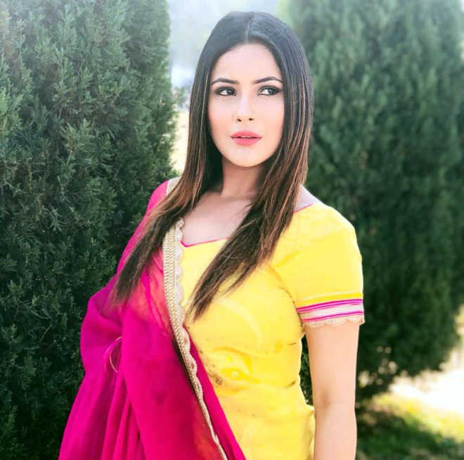 Punjabi Actress Photo And Name.