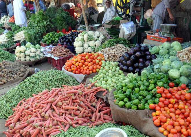 Govt urges Kashmir farmers to opt for veggie cultivation : The Tribune India