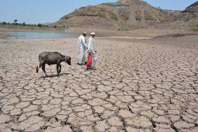 Drought is a real problem, use water efficiently to save land from degradation: Javadekar