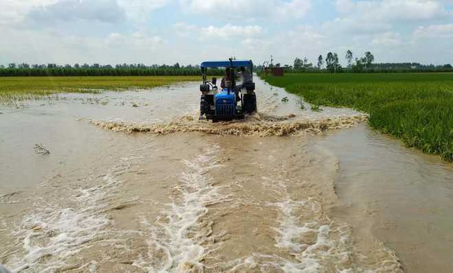 40 villages in Faridabad declared flood-sensitive