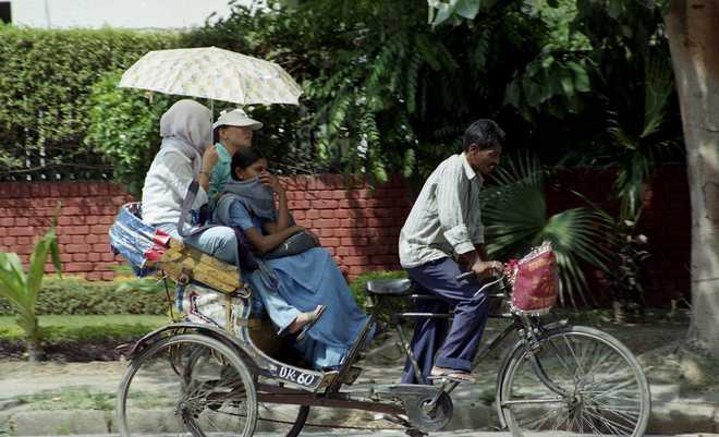 Driving licence must for rickshaw-pullers in Chandigarh