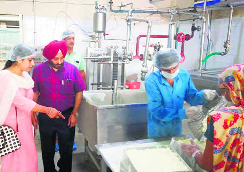 Health Dept raids Verka milk plant, collects samples