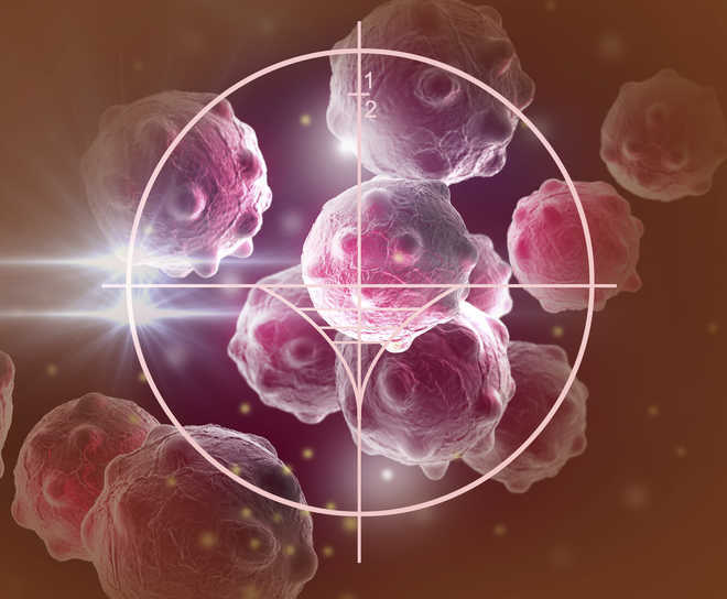 Scientists develop tumour-specific anti-cancer therapy