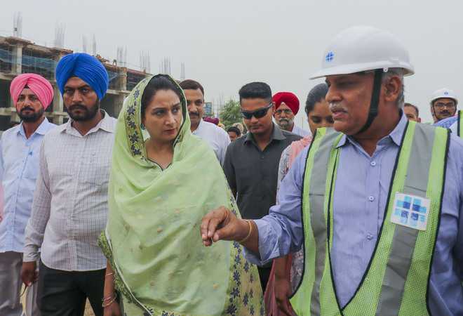 OPD at Bathinda AIIMS to start from Sept 1: Harsimrat