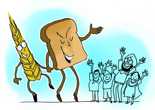Brown bread gaining popularity in region