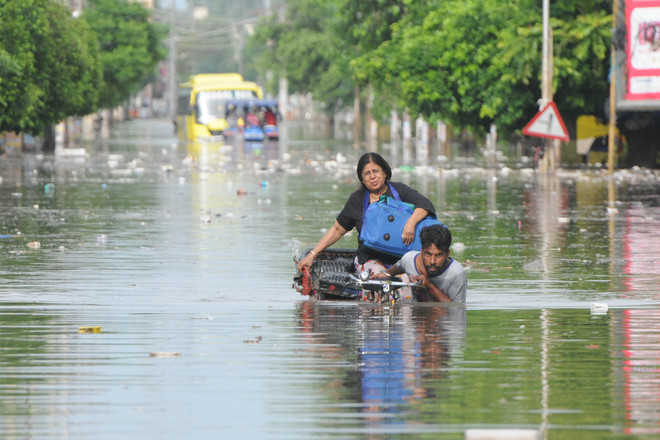 Record Rainfall Drowns Bathinda : The Tribune India