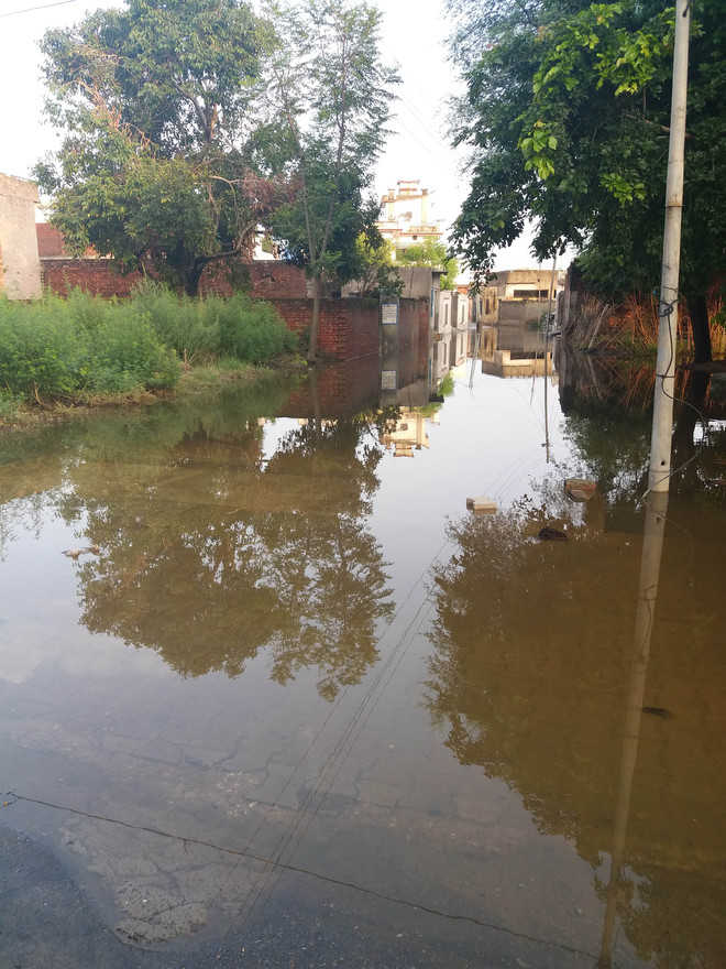 Downpour inundates 3 wards in Khamano