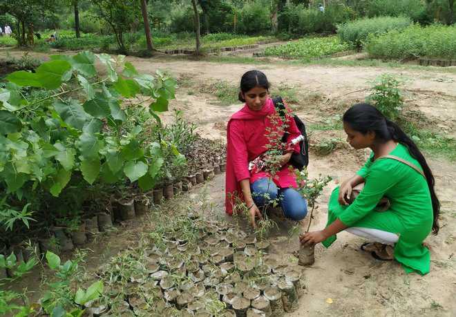 People from all walks of life buy saplings through i-Hariyali app