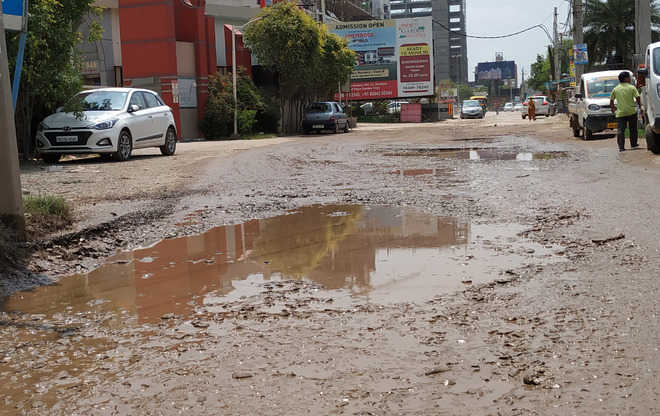 Potholed Nagla stretch nightmare for motorists