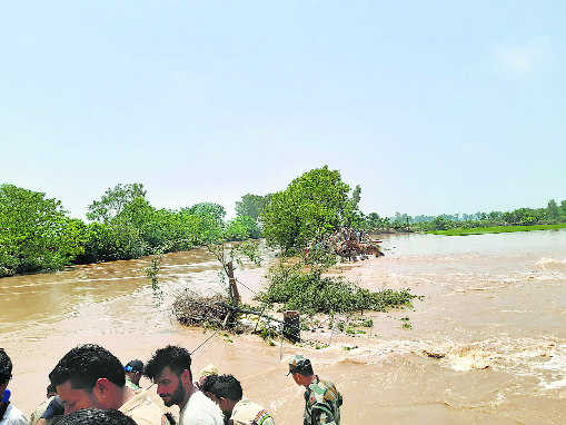 Ghaggar breach destroys paddy