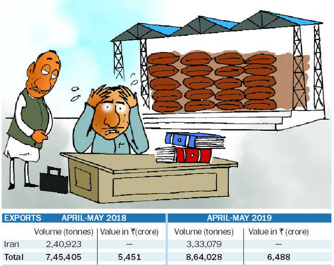 Jump in basmati exports  fails to cheer traders
