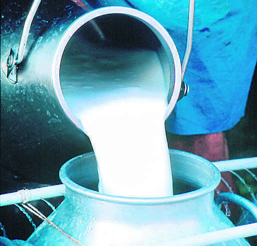 Synthetic milk racket busted in MP; 62 held