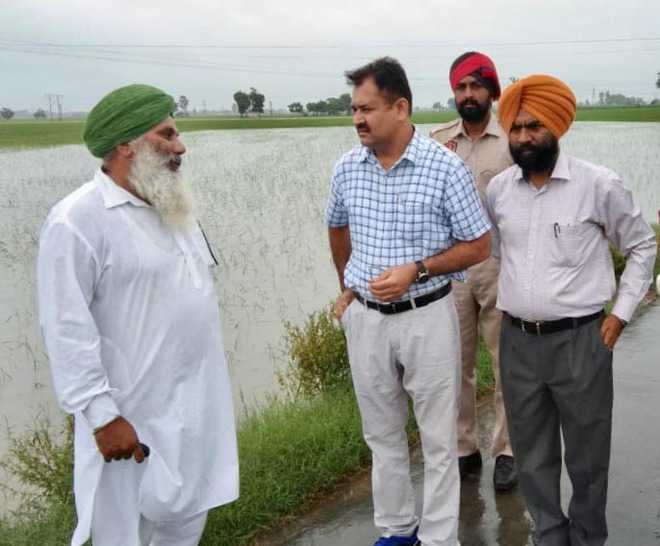Officials take stock of damaged crops