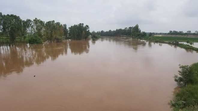 Water level in Ghaggar recedes