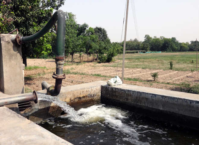 Punjab, Haryana, UP among top 10 abusers of groundwater