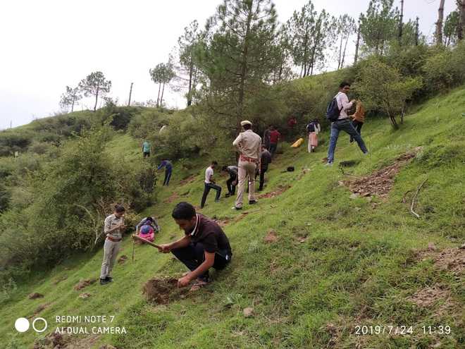 Plantation drive by NSS volunteers : The Tribune India