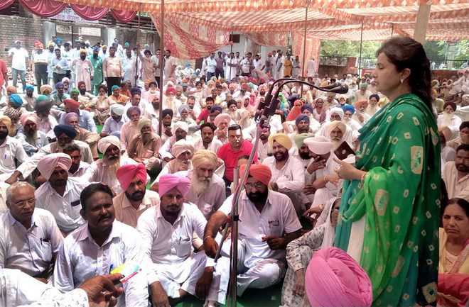 Cong sarpanches open front against Mansa administration