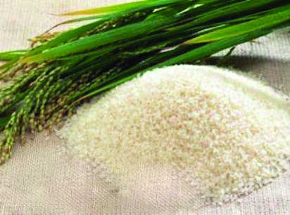Save rice mills, Centre urged