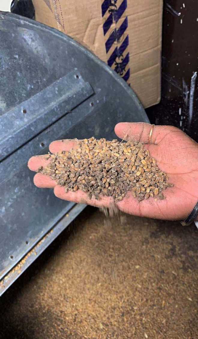 2019_7$largeimg26_Friday_2019_070340667.jpg (660×1127)