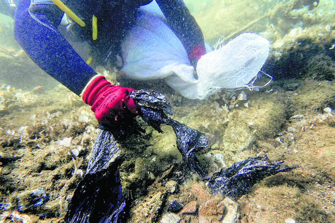 In Greece’s Aegean Sea, divers find ‘gulf of plastic corals’