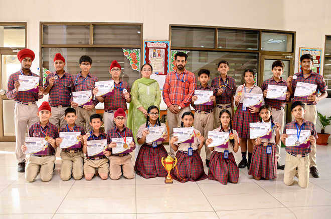 DAV, Spring Dale students excel : The Tribune India