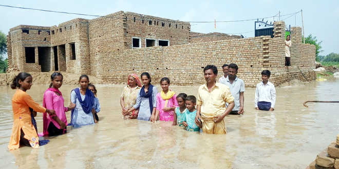 Rain floods Abohar village