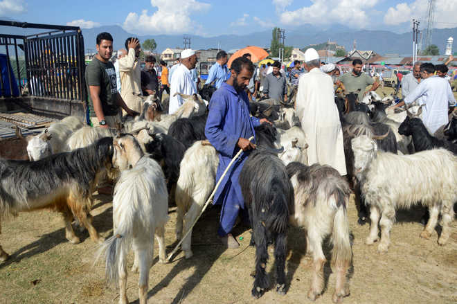 Businessmen struggle to trade ahead of Eid-ul-Adha in Srinagar
