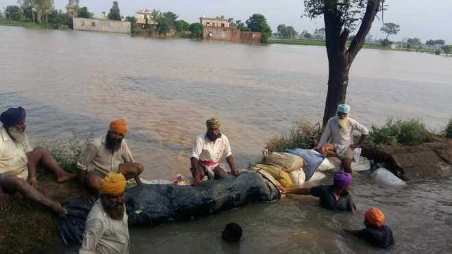 40,000 cusecs water released from Bhakra dam, people living near Sutlej to remain alert