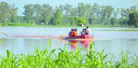 Rain pours more misery, Phillaur areas inundated