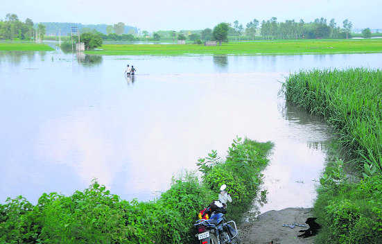 Water recedes, farmers count losses