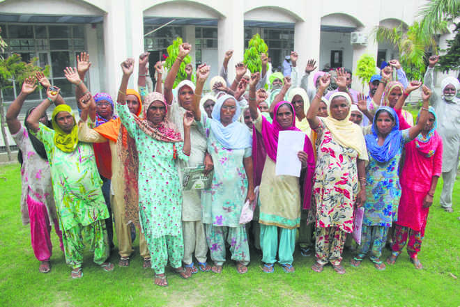 Labourers allege cut in wages