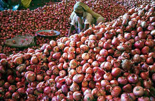 Onion prices surge as fewer farmers sow crop