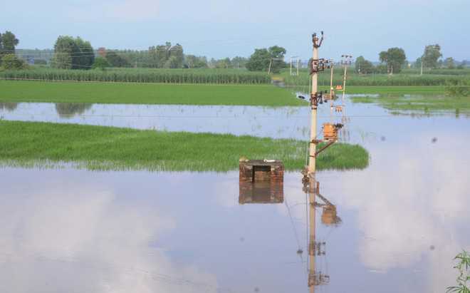Rain struck kharif crops on 1.38 lakh hectares