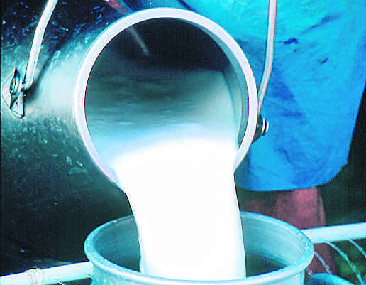 Milk most adulterated product in Patiala