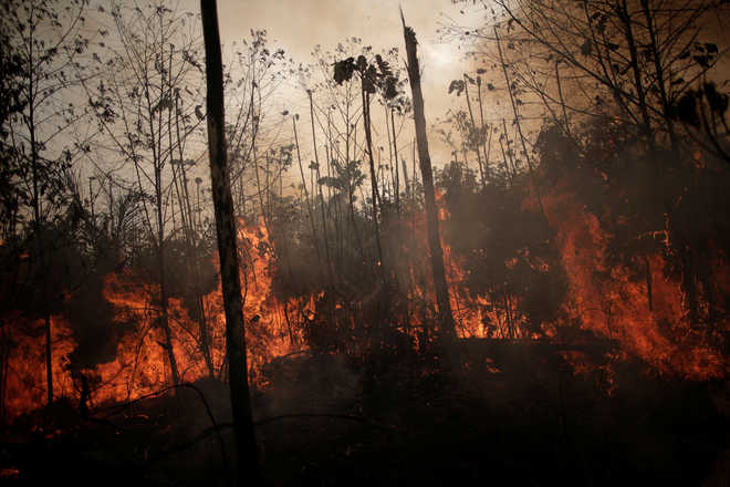 Why is part of the Amazon burning?