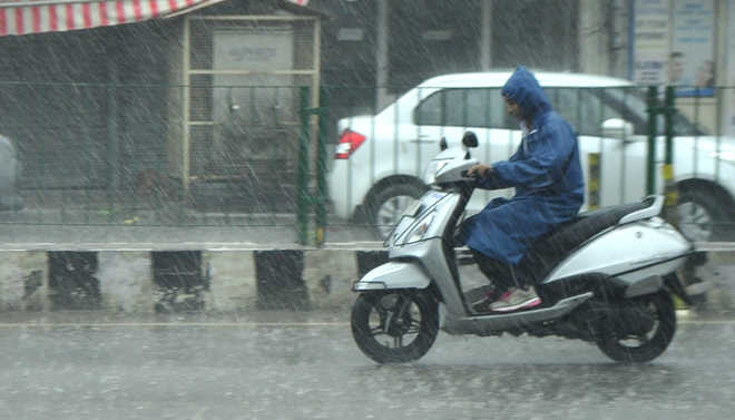 Rain lashes parts of Punjab and Haryana, temp below normal in most areas