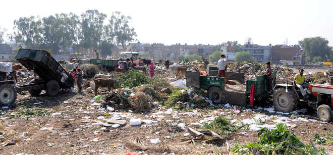 Rain worsens stench around Dadu Majra dumping ground