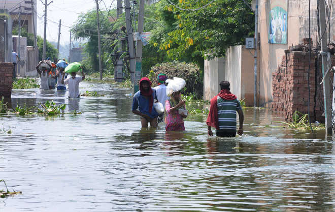 Fear Of Cholera, Jaundice Outbreak In Flood-hit Areas - The Tribune