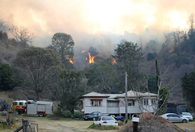 Australia’s east coast battles more than 100 bushfires, 21 homes destroyed