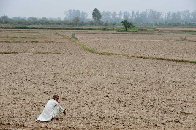 Drought most expensive natural calamity, says UN report
