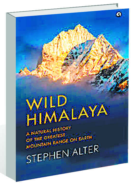 An intimate trek through Himalaya