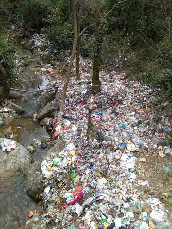 Himachal govt to buy back single-use plastic at Rs 75 per kg
