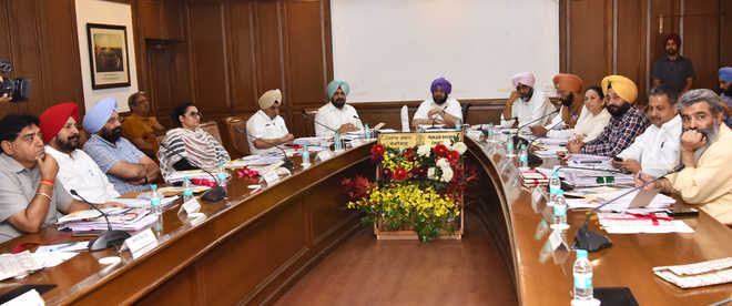 Cabinet committee constituted to deal with stray cattle menace